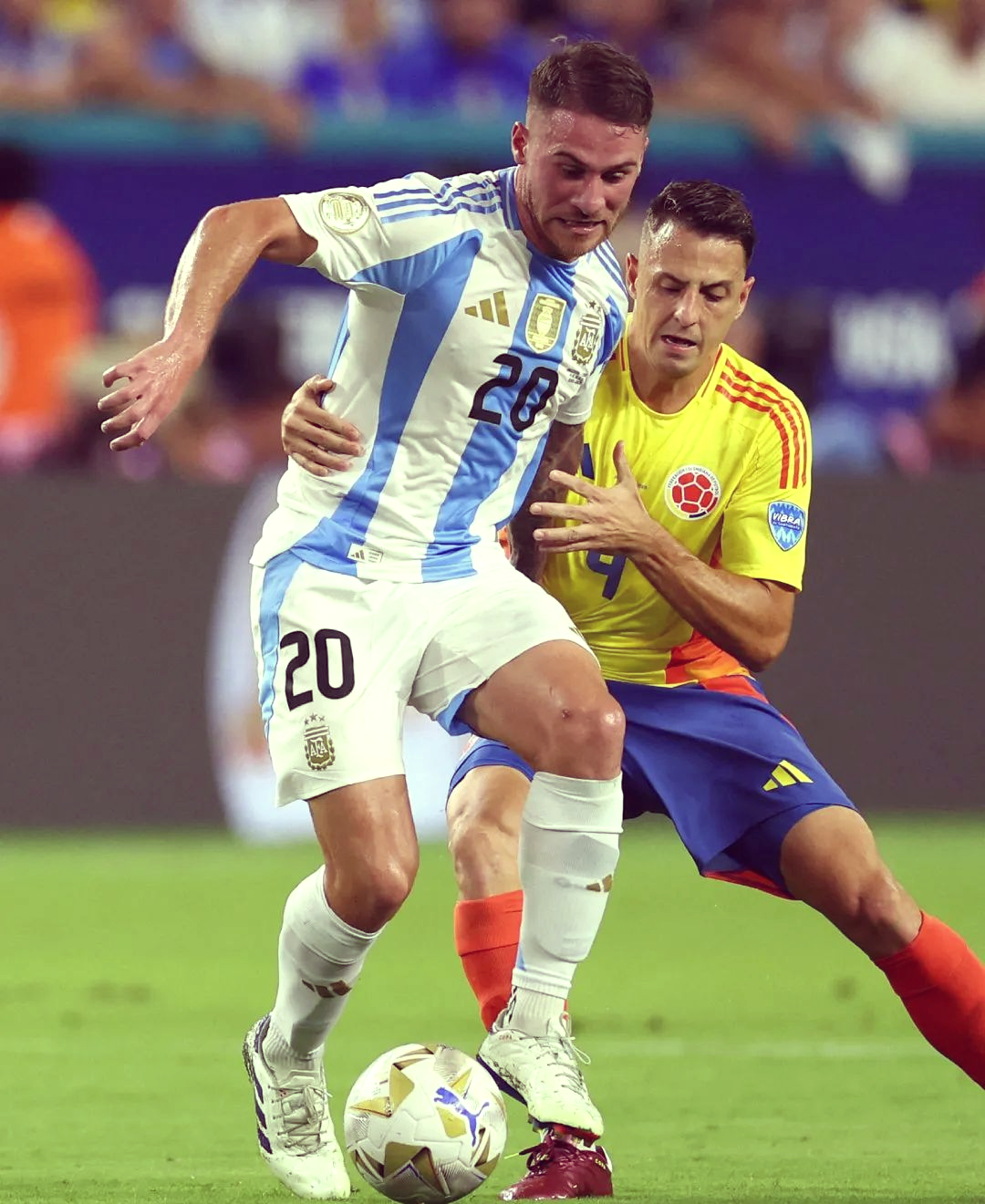 包含美洲球员奋勇拼搏,率队赢得关键胜利的词条 包含美洲球员奋勇拼搏,率队赢得关键胜利的词条