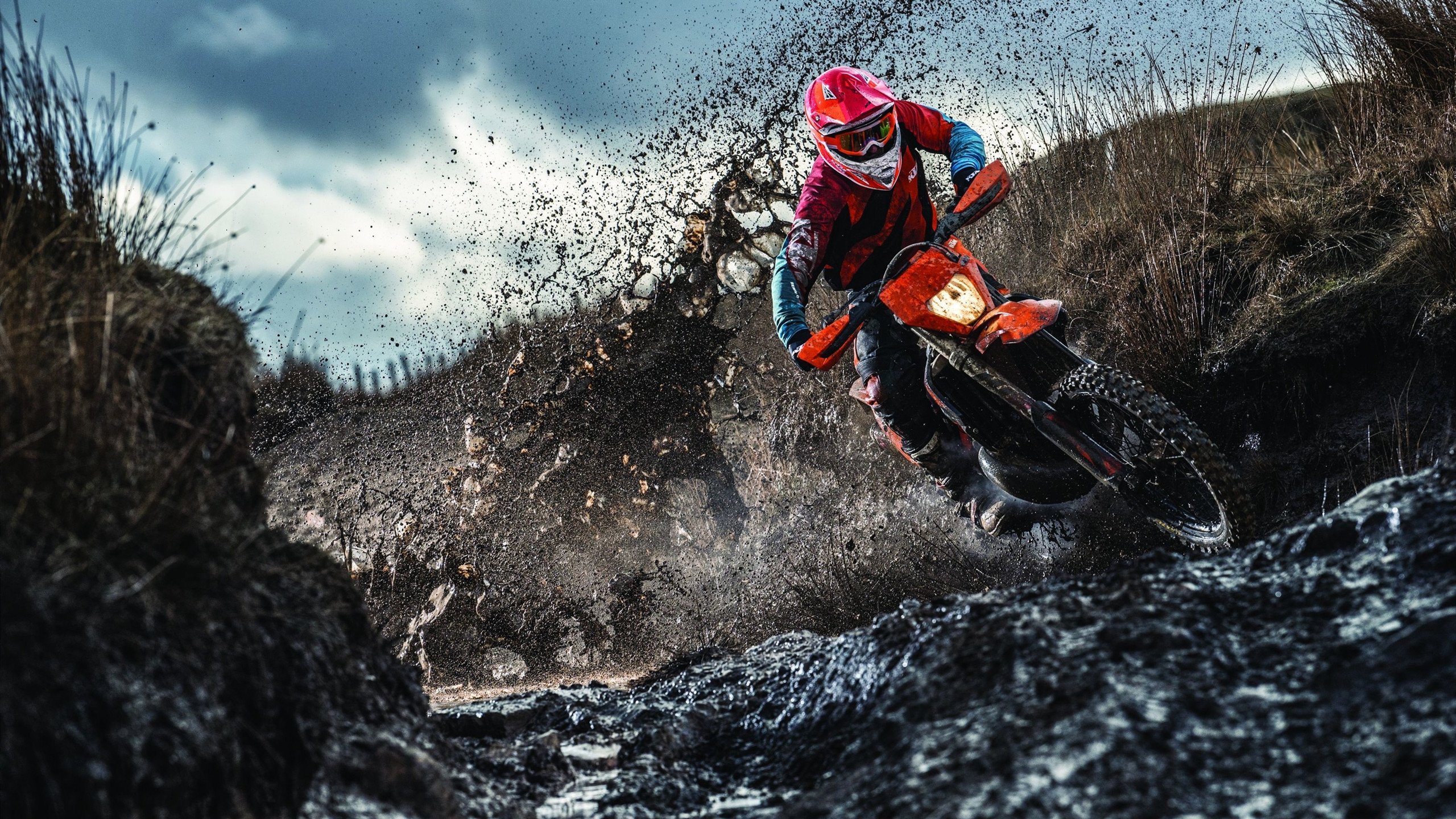 灰熊的收割与詹姆斯的接管，跨越时空的竞技哲学